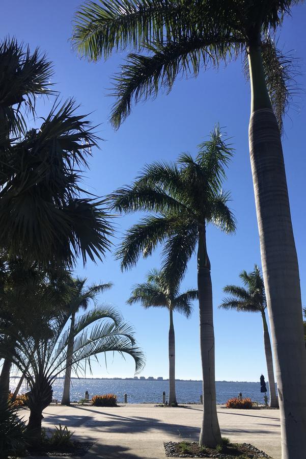 Oasis Villa Retreat ブレーデントン エクステリア 写真